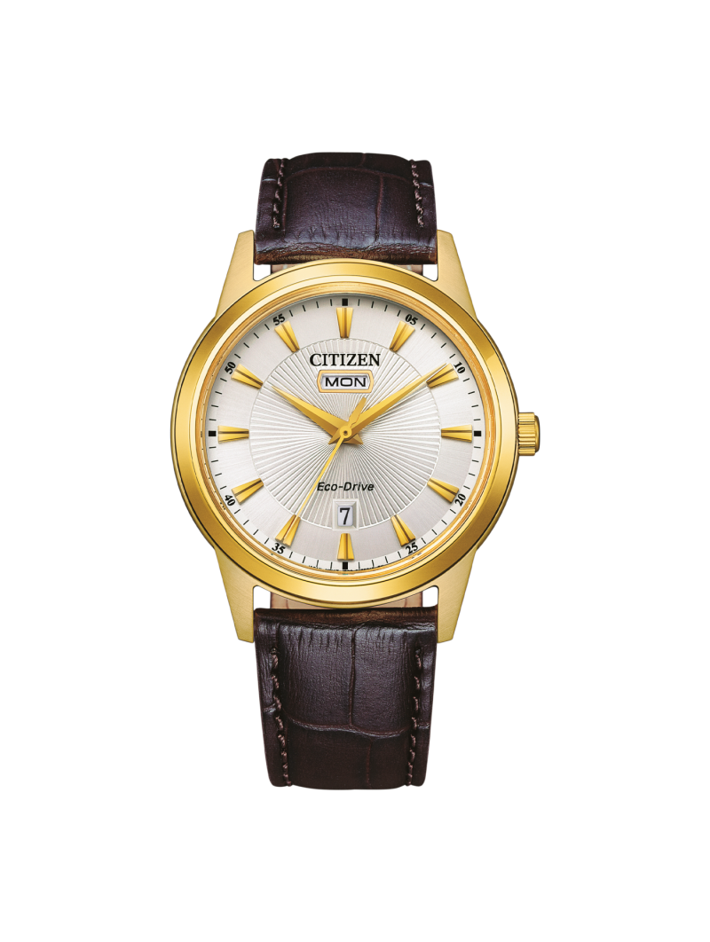 CITIZEN ECO-DRIVE ACIER PVD OR IVOIRE CUIR AW0102-13AE