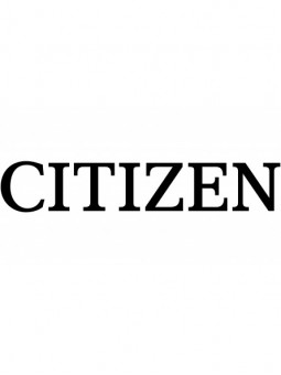 CITIZEN ECO-DRIVE ACIER PVD OR IVOIRE CUIR AW0102-13AE